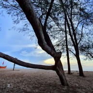 หาดจอมพล