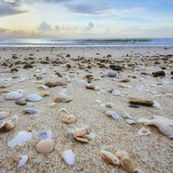 หาดจอมพล