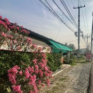 ร้านเราเอง โป่ง-พัทยา 1