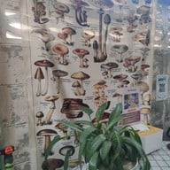 บรรยากาศ Clean Food on Earth