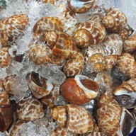 ตำยำแซ่บจี๊ดทะเลเผา ตำยำแซ่บจี๊ดทะเลเผา