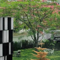 GOODMOOD cafe' ถ.ศรีจันทร์