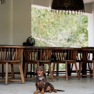 บ้านพัฒก์ คาเฟ่