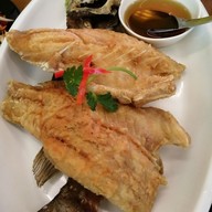 เมนูของร้าน พริกแดง ไก่บ้านย่าง-ส้มตำ-ยำ แจ่วฮ้อน