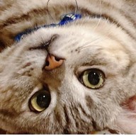 ครัวลั่นทุ่ง