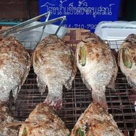 ร้านหยกกี้ปลาเผา หยกกี้ปลาเผา