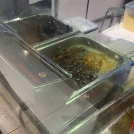 Bomber Dog เซ็นทรัล ลาดพร้าว