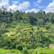 บรรยากาศ Tegalalang Rice Terrace