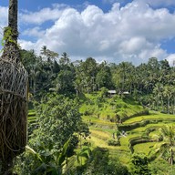 บรรยากาศ Tegalalang Rice Terrace