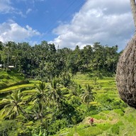 บรรยากาศ Tegalalang Rice Terrace