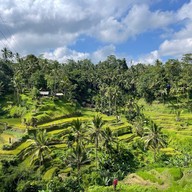 บรรยากาศ Tegalalang Rice Terrace