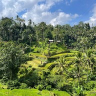 บรรยากาศ Tegalalang Rice Terrace