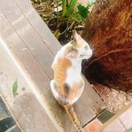 Beyond Cafe' บ้านโป่ง