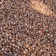Hom doi Coffee สาขาท่ารั้ว สาขาท่ารั้ว
