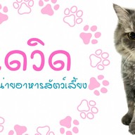 เดวิด อาหารสัตว์