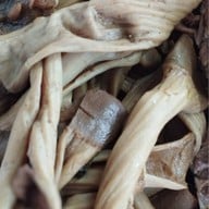 นายฟาร์มไก่ต้มน้ำปลาเป็ดพะโล้(กาดวรุณ) กาดวรุณ