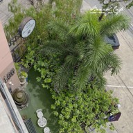 Benzol Cafe