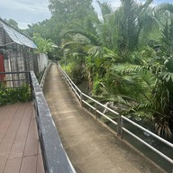 ครัวสมุย Southern Fusion Cuisine