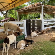 Khao Yai Farm Village