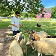 Khao Yai Farm Village