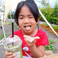 ปิดบริการในไลน์แมน บ้านโพธิ์