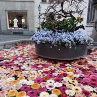 Confiserie Sprungli Zurich HB