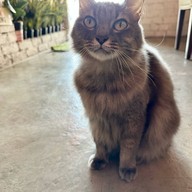 Café Lumière Kuala Selangor