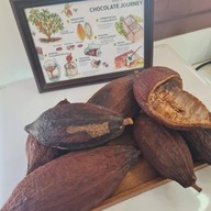 บรรยากาศ It's Cocoa ปั๊มน้ำมันซัสโก้พระราม2