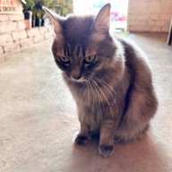 Café Lumière Kuala Selangor