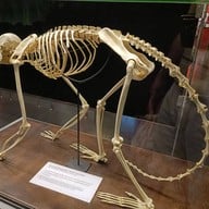 บรรยากาศ พิพิธภัณฑ์พระรามเก้า