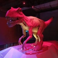 บรรยากาศ พิพิธภัณฑ์พระรามเก้า