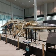 บรรยากาศ พิพิธภัณฑ์พระรามเก้า