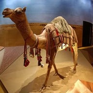 บรรยากาศ พิพิธภัณฑ์พระรามเก้า