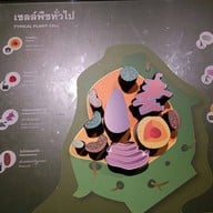 บรรยากาศ พิพิธภัณฑ์พระรามเก้า