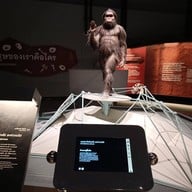 บรรยากาศ พิพิธภัณฑ์พระรามเก้า