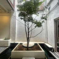 Dou Brew Coffee & Craft