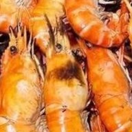 กุ้งเผา หมึกย่าง รัชดา