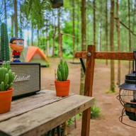 Phupha Coffee Camp บ้านคา ราชบุรี