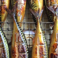 แจ๊ค ปลาซาบะ (นอร์เวย์)ย่างซีอิ้ว