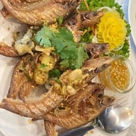 กรีนคอนเนอร์