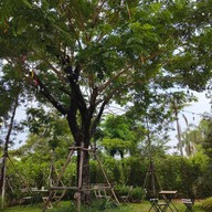 บรรยากาศ Take A Breath Cafe and Eatery