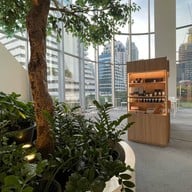 vela Central Embassy