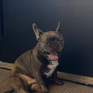 ดัมมะชาติ Eatery and Coffee by Jaokao Vol.3