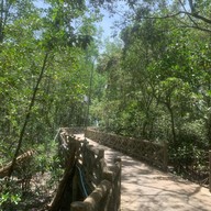 กลางเลซีฟู้ด