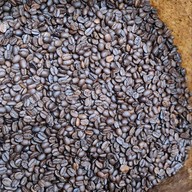 All About Coffee เชียงใหม่ แม่เหียะ