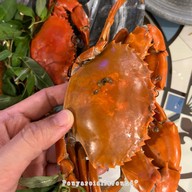 Chai Village Hochimin