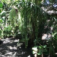 คูณคาเฟ่ - Koon's Cafe garden coffee x restuarant -