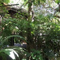 คูณคาเฟ่ - Koon's Cafe garden coffee x restuarant -