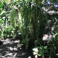 คูณคาเฟ่ - Koon's Cafe garden coffee x restuarant -