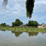 เวนิชkitchen